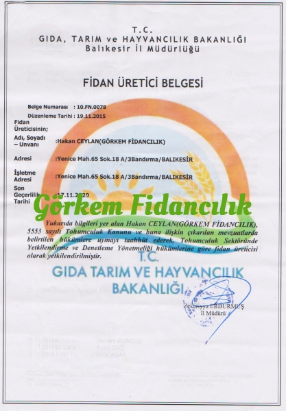 Ceviz Fidan üretici belgelerimiz